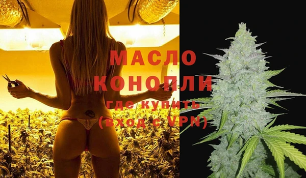 ПСИЛОЦИБИНОВЫЕ ГРИБЫ Каменка