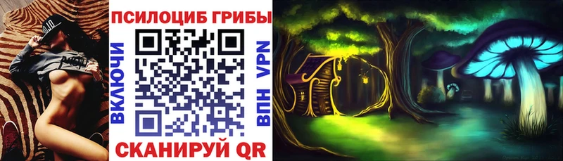 дарнет шоп Новомосковск Галлюциногенные грибы Magic Shrooms